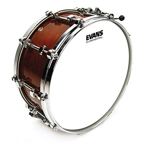 Evans B13GCS - 13'' ORCH SNR