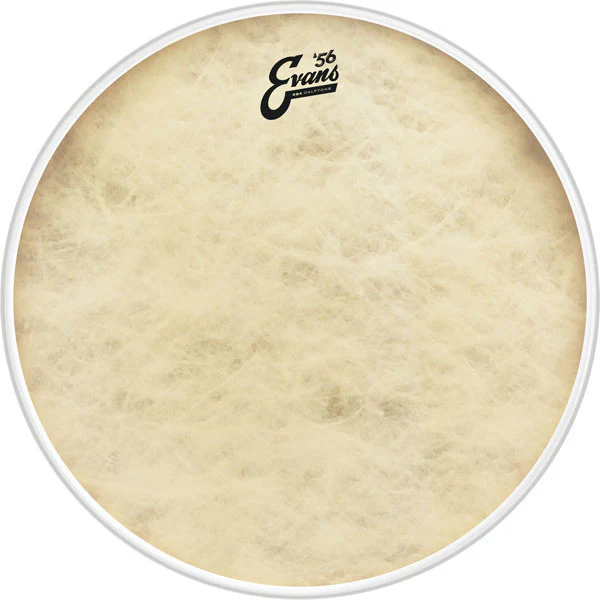 Evans BD18GB4CT - 18'' EQ4 CALFTONE
